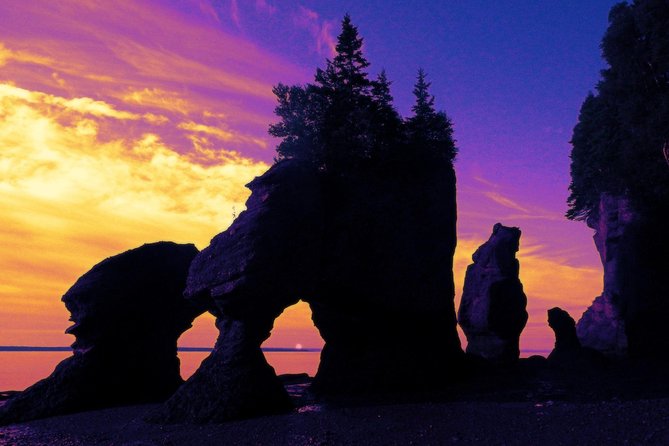 Hopewell Rocks Admission - Trails, lookouts, and the interpretive centre