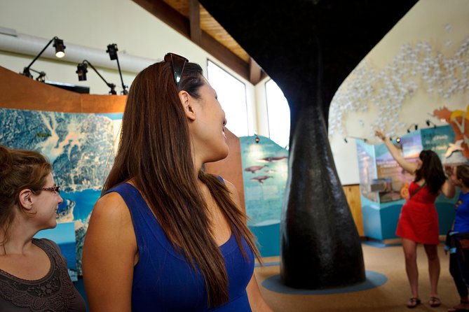 Hopewell Rocks Admission - Who will enjoy this visit most?
