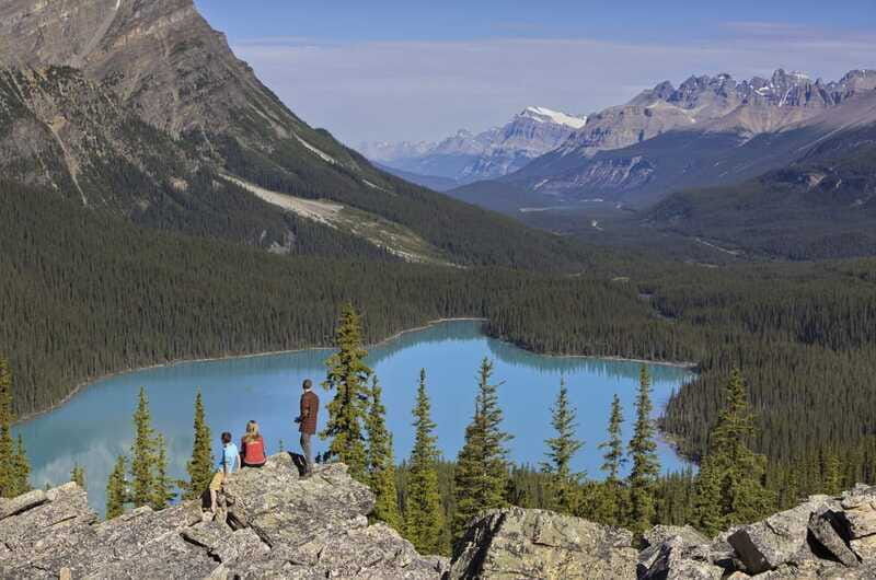 Icefield: Bow Lake, Columbia Icefield, Peyto Lake Day Tour - Peyto Lake and the fox-shaped viewpoint
