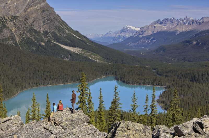 Icefield: Icefield Parkway, Bow Lakes & Peyto Lakes Day Tour - Key points at a glance