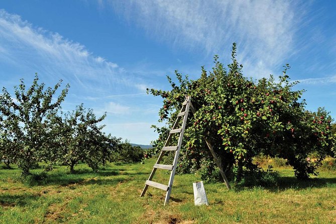 Island of Orleans Taste and Drink Tour - History between the tastings