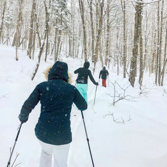 Jacques-Cartier National Park: Skiing Excursion - From Quebec City to Jacques-Cartier National Park