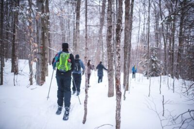 Jacques-Cartier National Park: Skiing Excursion
