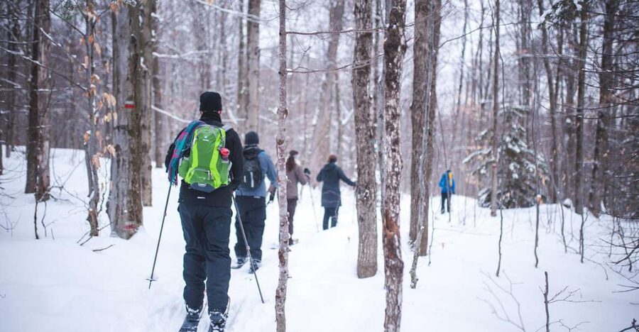 Jacques-Cartier National Park: Skiing Excursion - What is included for $108