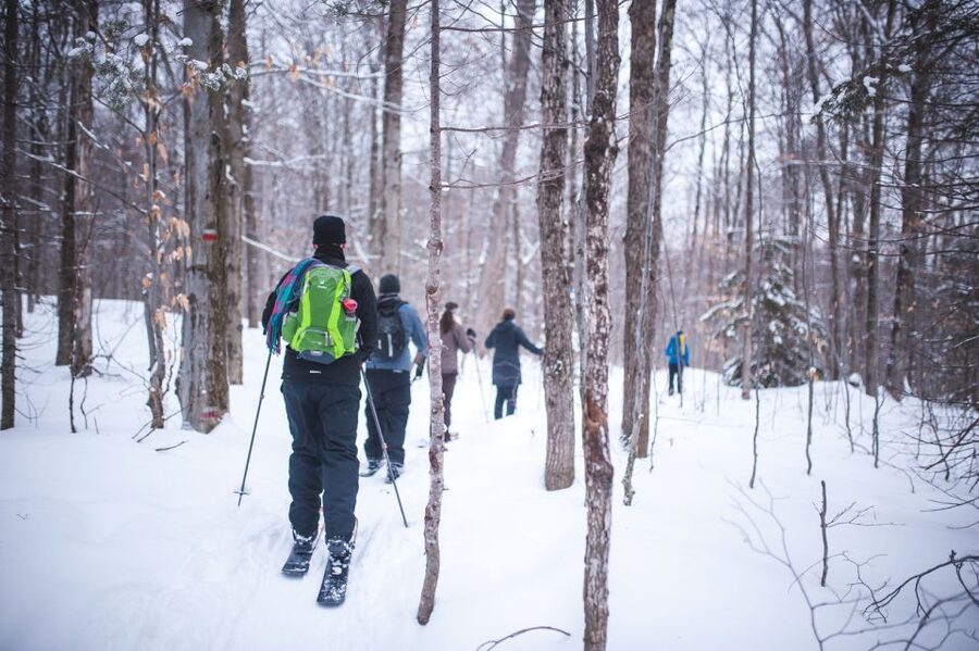 Jacques-Cartier National Park: Skiing Excursion - What ski-shoeing feels like on the trail