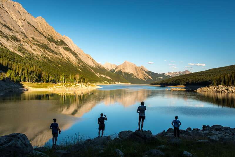 Jasper: Maligne Valley Wildlife & Spirit Island Cruise - The Maligne Lake Road wildlife watch
