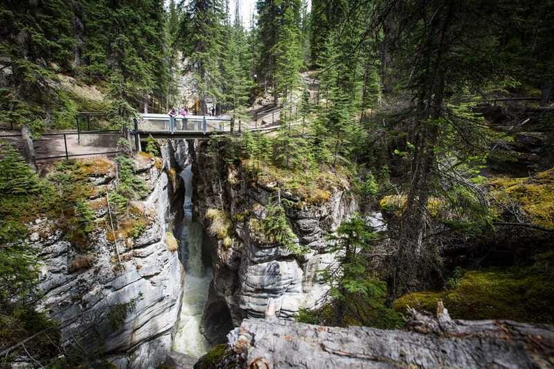 Jasper: Sightseeing Tour with Maligne Lake Cruise - Lunch, snacks, and the value of $181