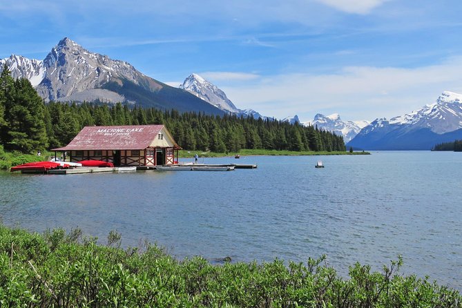 Jasper Wildlife and Sightseeing Tour with Maligne Lake Hike - Who will enjoy this tour most