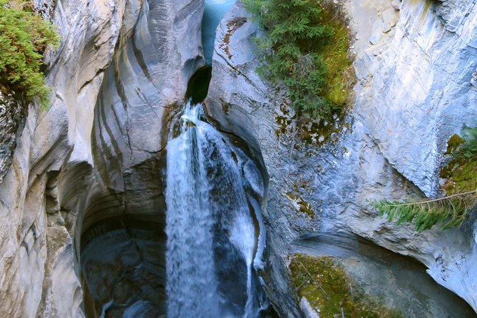 Jasper Wildlife and Sightseeing Tour with Maligne Lake Hike - Maligne Canyon Overlook and the 2024 fire
