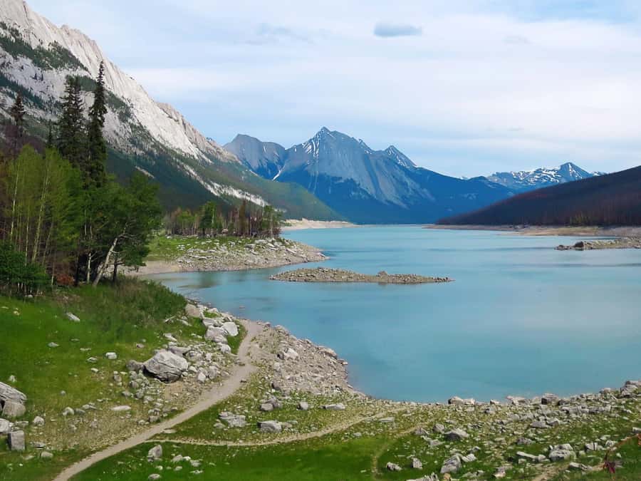 Jasper: Wildlife and Waterfalls Tour with Lakeshore Hike - What the $77 price really covers
