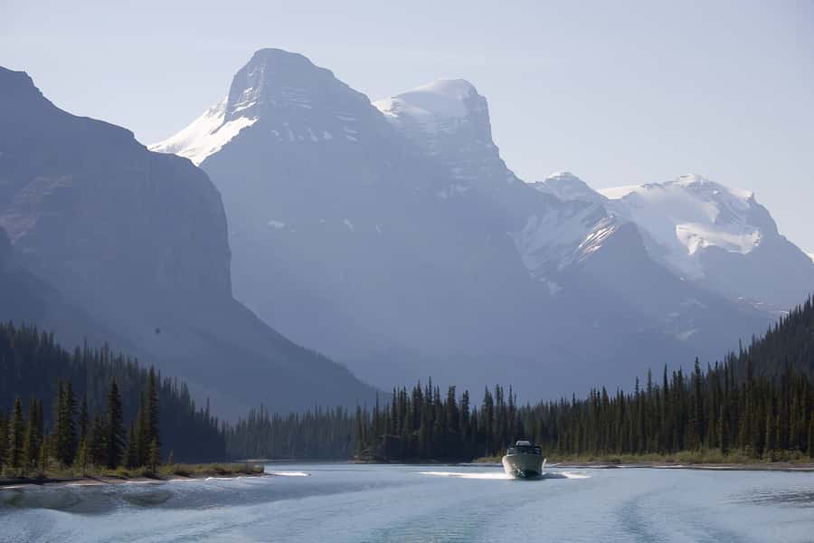 Jasper: Wildlife and Waterfalls Tour with Maligne Cruise - What the $155 price really covers