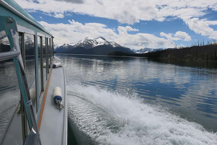 Jasper: Wildlife and Waterfalls Tour with Maligne Cruise - Guides are a central part of the experience