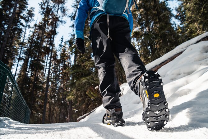 Johnston Canyon Icewalk - Is the $81.97 price fair?