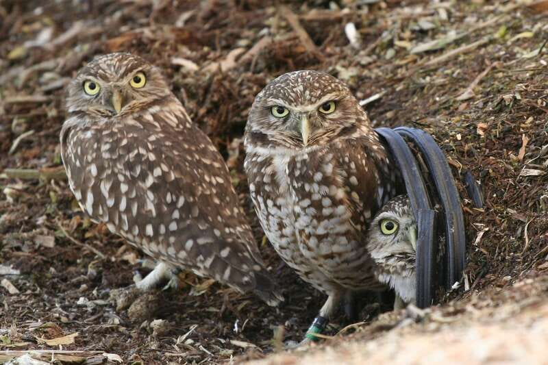 Kamloops: BC Wildlife Park Entry Ticket - Begin at the Discovery Centre in Kamloops