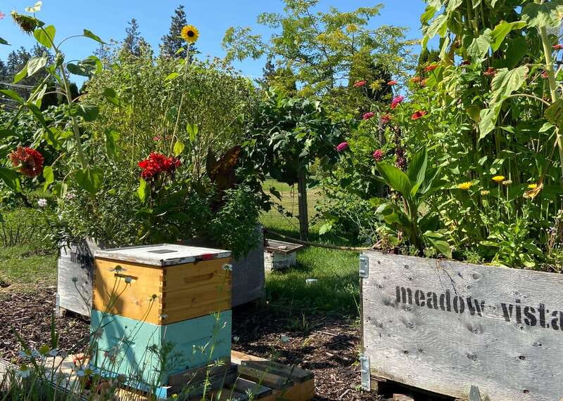Kelowna: E-Bike Bee Tour w/ Tastings, Lunch, and Audioguide - My verdict on the Meadow Vista bee tour