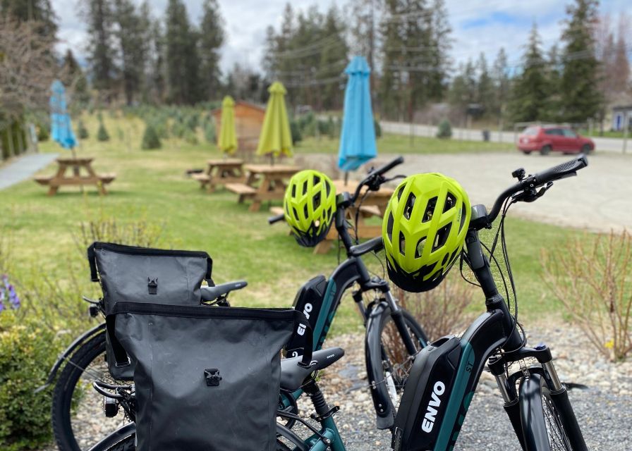 Kelowna: E-Bike Bee Tour w/ Tastings, Lunch, and Audioguide - What the $95 price includes