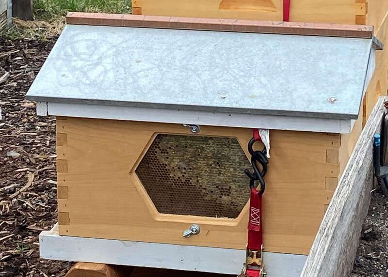 Kelowna: E-Bike Bee Tour w/ Tastings, Lunch, and Audioguide - Who will enjoy this ride most