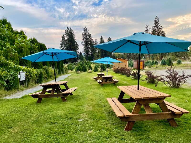 Kelowna: E-Bike Guided Wine Tour with Lunch & Tastings - Who should book this Kelowna wine tour