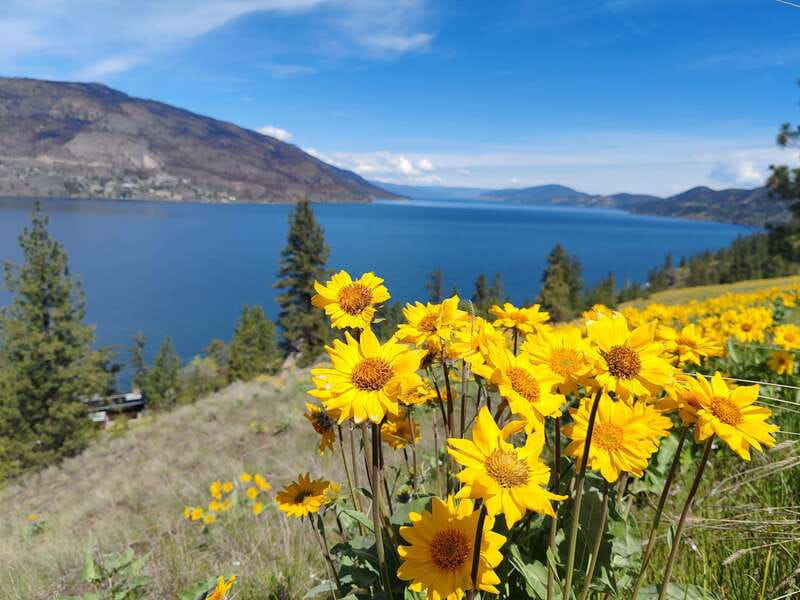 Kelowna: E-Bike Rental with In-App Navigation Guide - What the ride itself feels like