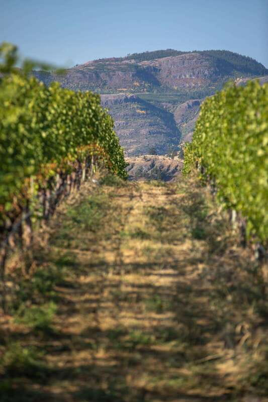 Kelowna: Lake Country Full Day Guided Wine Tour - Intrigue Wines adds another point of comparison