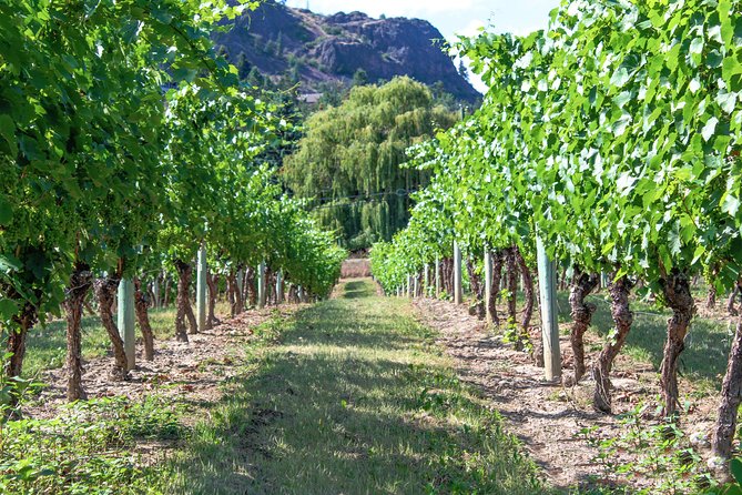 Kelowna or West Kelowna Afternoon Sightseeing Wine Tour - Tastings, commentary, and the value of the price