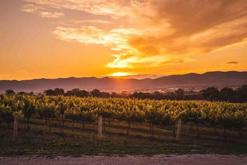 Kelowna: Sunset Sip Wine Tour - Mt. Boucherie and the move toward dinner