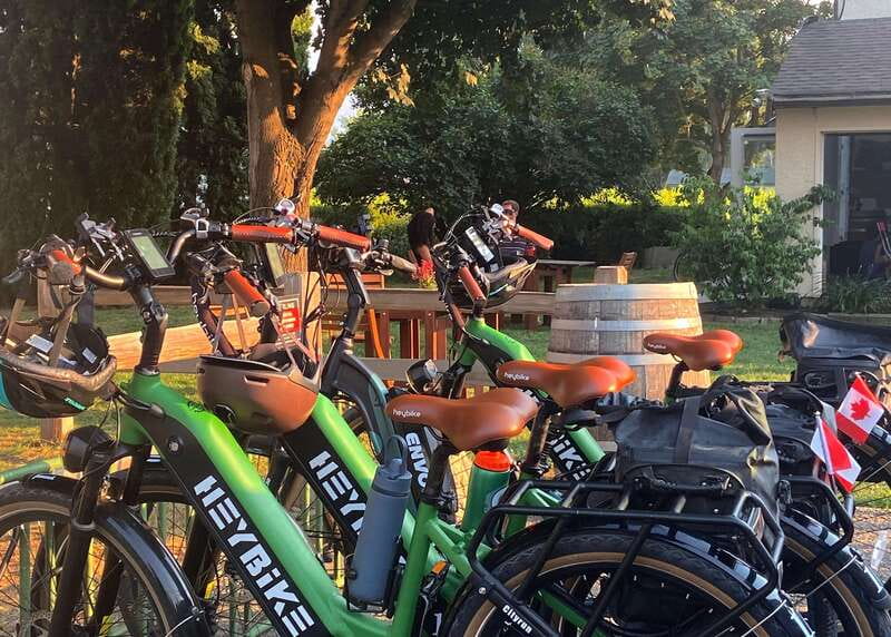 Kelowna: Wine Tasting by E-bike, Smartphone Guide & Lunch - Booking tips for a smoother day