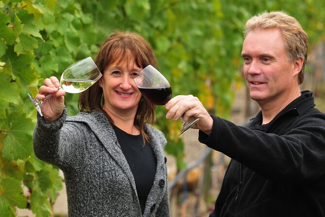 Kelowna Wine Tour by E-bike, Okanagan Valley Views and Lunch - Why an e-bike is the right way to see Kelowna wine country