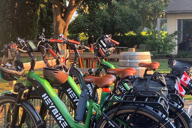 Kelowna Wine Tour by E-bike, Okanagan Valley Views and Lunch - Hidden Vines Family Estate Winery: a thoughtful first tasting
