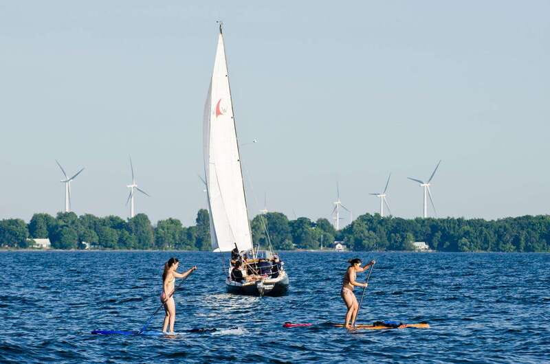 Kingston: Skippered Sailing Charter - Learning the Basics Without Taking the Helm