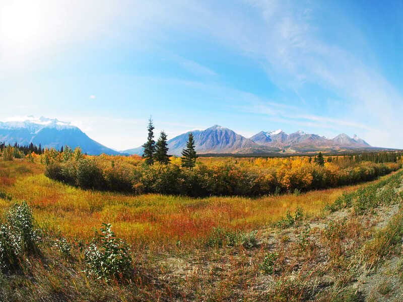 Kluane National Park: Full Day Tour - Should you book the Kluane day tour?