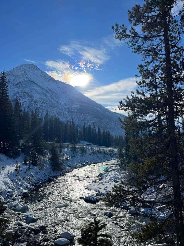 Kootenay: From Icy Mountain Rivers to Steamy Hot Springs - Who will enjoy this Kootenay day trip?
