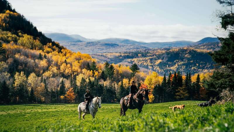 La Bleuetière: A charming introduction to horseback riding - Key points at a glance