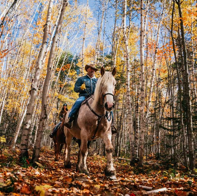 La Bleuetière: A charming introduction to horseback riding - A gentle introduction to riding in Charlevoix
