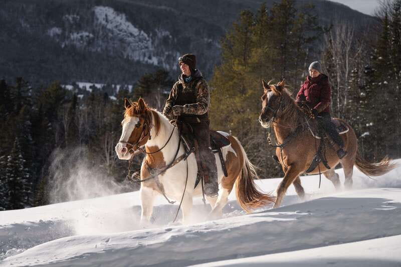 La Bleuetière: A charming introduction to horseback riding - Following the one-hour forest trail