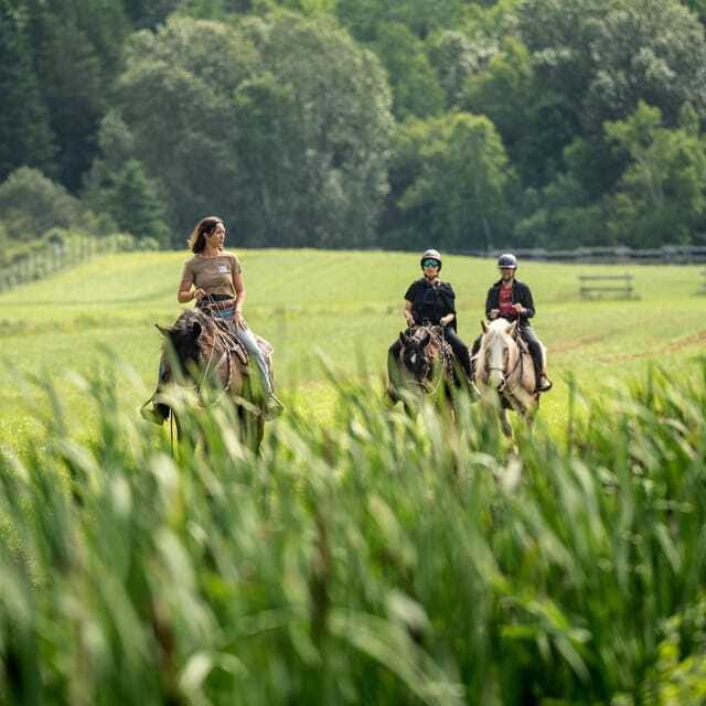 La Bleuetière: A charming introduction to horseback riding - Who will enjoy this outing most?