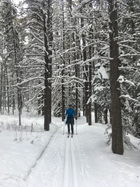 Lake Louise: Cross Country Skiing Lesson with Tour - Starting beside Lake Louise’s public washrooms