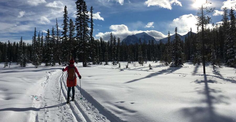 Lake Louise: Cross Country Skiing Lesson with Tour - What you must arrange before arriving