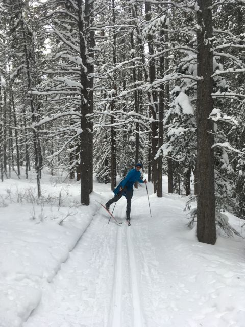 Lake Louise: Cross Country Skiing Lesson with Tour - Cancellation, timing, and practical planning