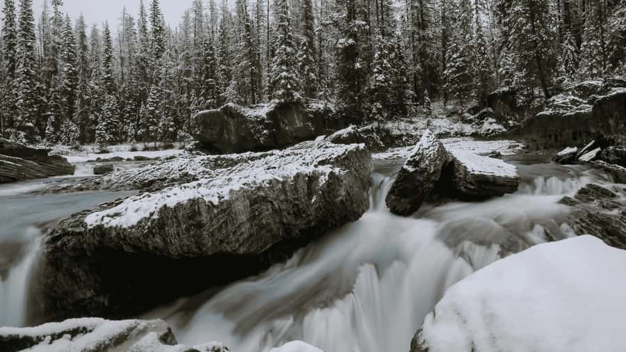 Lake Louise, Moraine, & Emerald: From Calgary/Canmore/Banff - What the guides add to the day