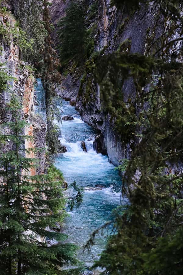 Lake Louise,Moraine,Emerald Lake,Johnston Canyon & BanffTour - Banff-area sights to finish the day