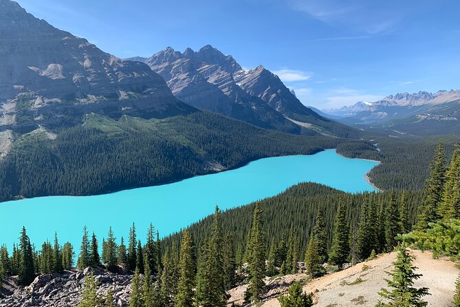 Lake Louise, Moraine Lake and the Icefields Parkway Full-Day Tour - The Icefields Parkway changes the pace