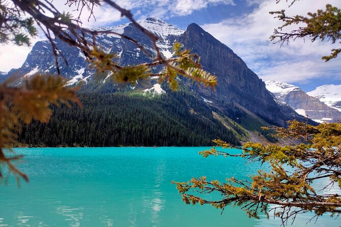 Lake Louise Moraine Lake Johnston Canyon 1.5h Half Day Tour - Lake Louise in every season