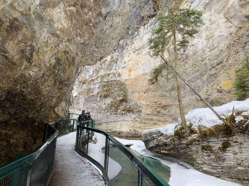 Lake Louise, Peyto Lake, Johnston Canyon & Icefields Parkway - Lunch in Lake Louise Village