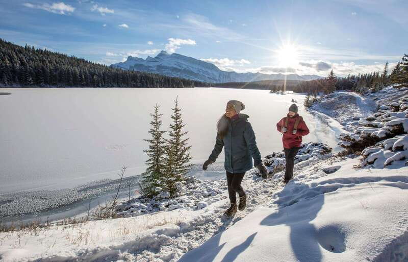 Lake Louise, Peyto Lake, Johnston Canyon & Icefields Parkway - The Icefields Parkway becomes the main event