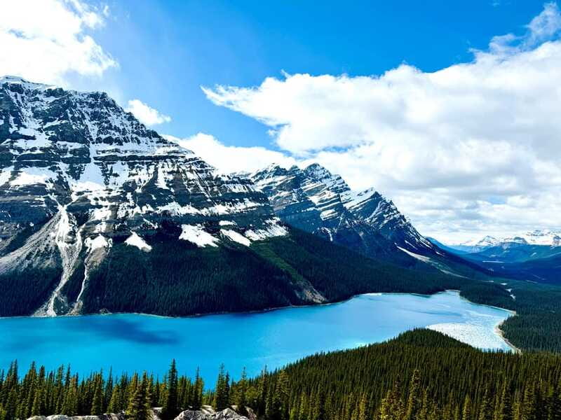 Lake Louise, Peyto Lake, Johnston Canyon & Icefields Parkway - Peyto Lake and its maple-shaped outline