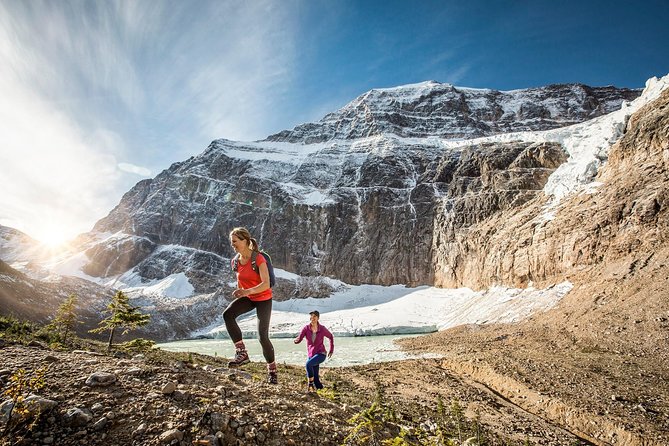Lake Louise to Jasper One-Way Tour - Why this Lake Louise to Jasper route is worth your day