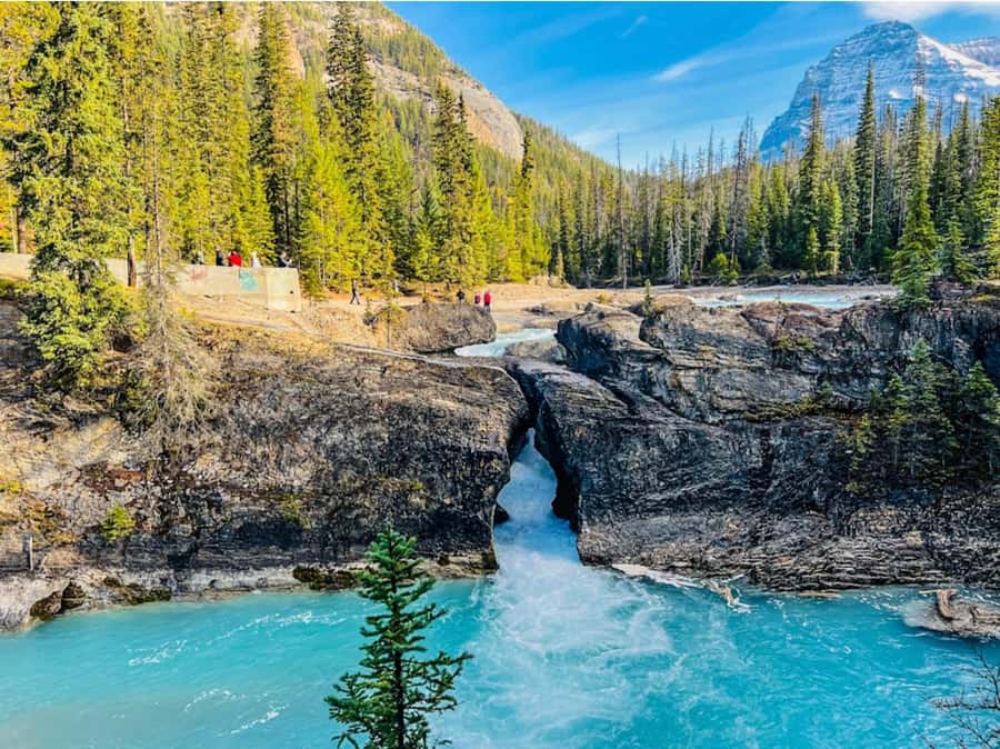 Louise, Moraine/Bow, Emerald, Peyto- 4 Lake Tour - Key points to know before booking