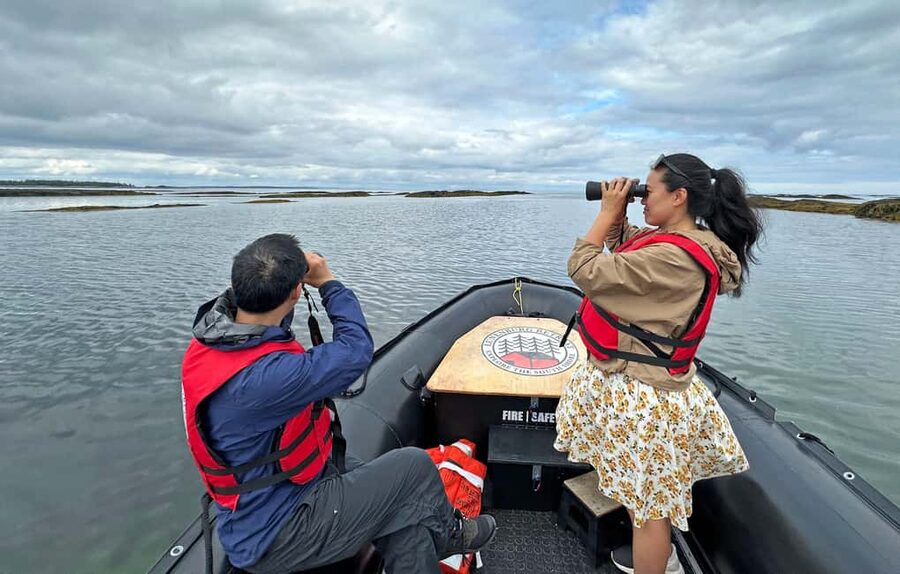 Lunenburg: Zodiac Wildlife Tour with Naturalist Guide - Practical preparation for the wharf