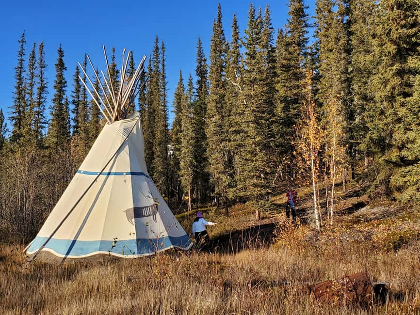 Madeline Lake: Aurora Lodge and Aurora Chasing Tour - Key points to know before booking